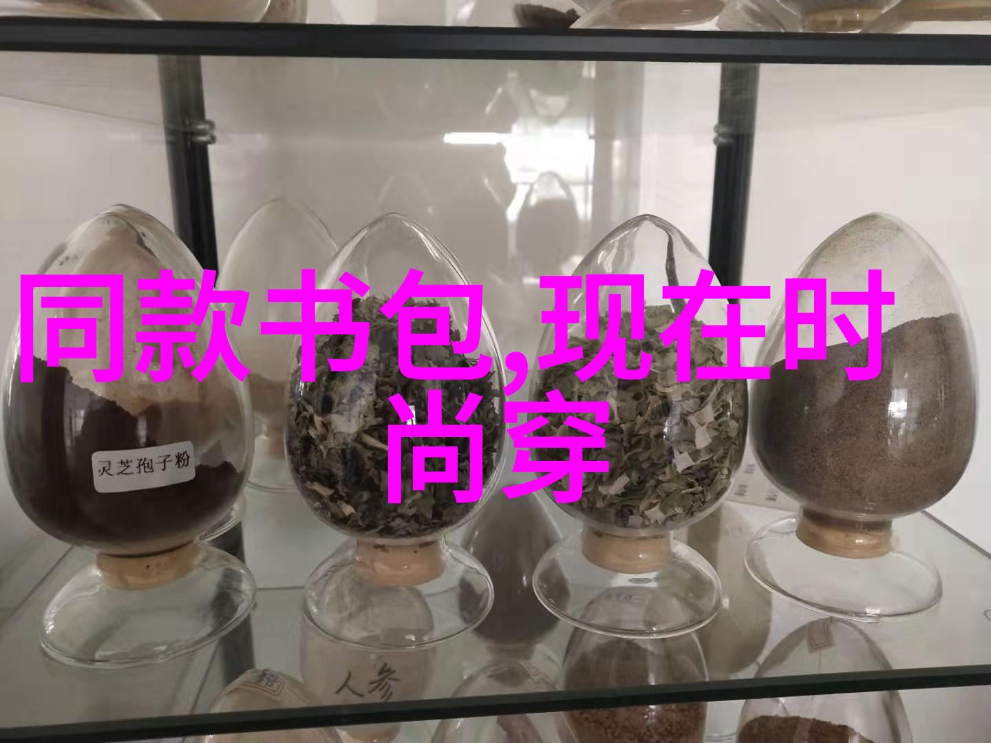 十世禅悟道探索佛学中的时间与空间