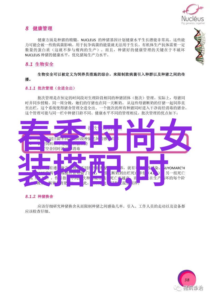 夏季时尚必备轻盈透气内搭裤的魅力与实用性