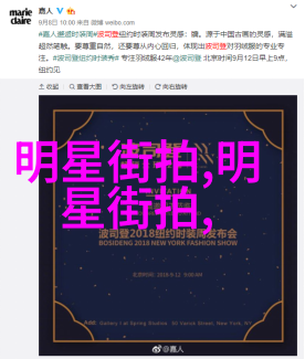 明星高定穿越指南如何优雅处理时尚过剩的尴尬