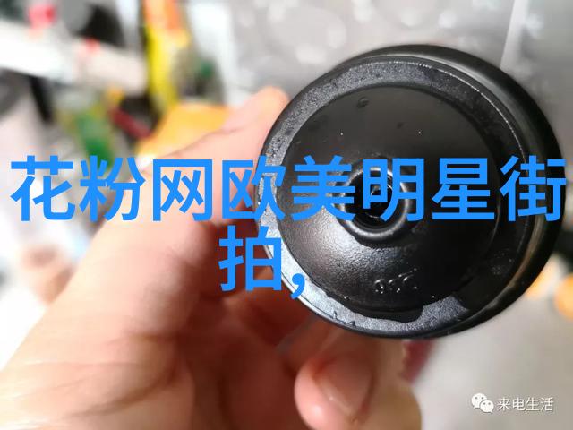 助理教授的角色和职责是什么