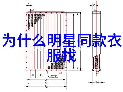 男士羽绒服的时尚之选