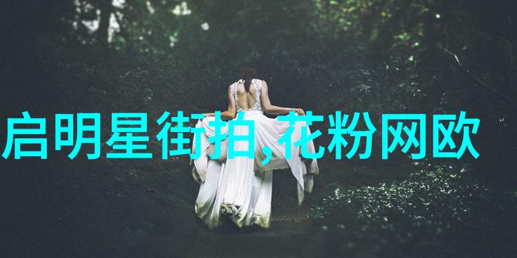 星光下的无遮挡明星们的透明时尚挑战