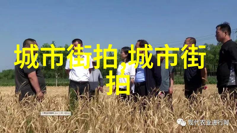 社会责任与艺术表达评析48届金马影片中的主题探讨