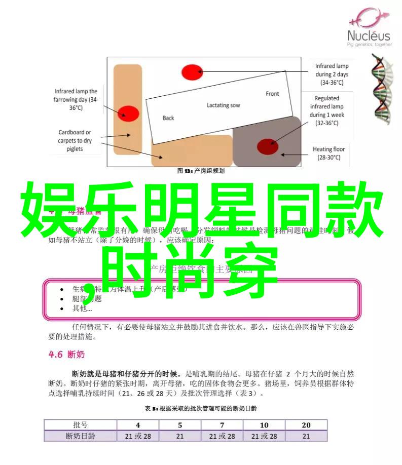 男士穿衣搭配时尚杂志我是怎么学到这些帅气搭配的