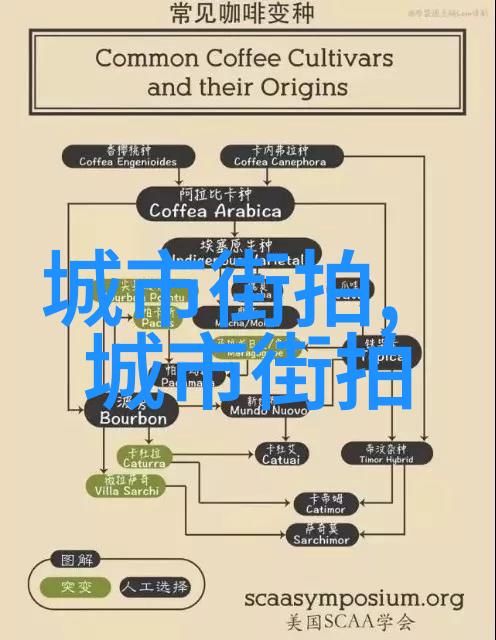 从简到繁哪种女士烫发样式让你显瘦