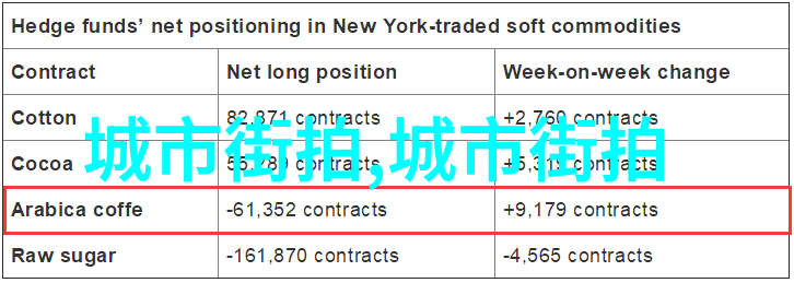 春夏之交的时尚必备轻盈内搭裤的魅力探究