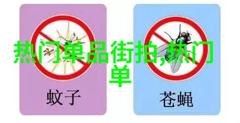 智女生秘密代码解析