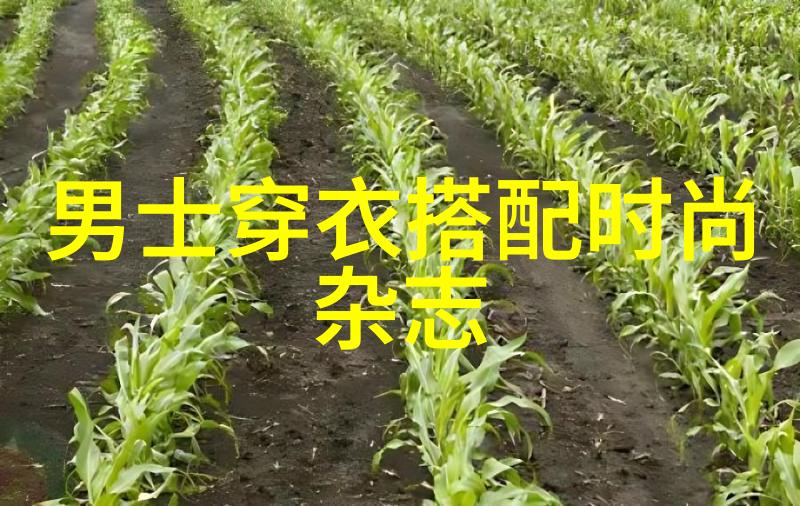 劳动和社会保障部发布通知关注2008年3月号文件的实施细节与影响