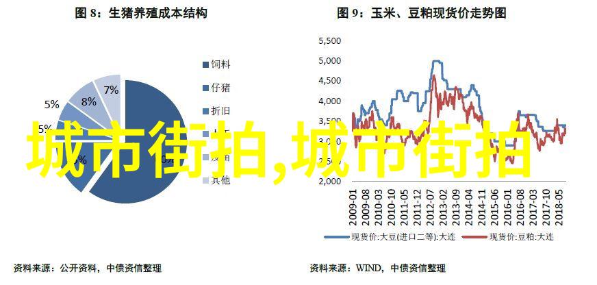 九鹿王的荒唐事森林里的笑声与毛茸茸的传奇