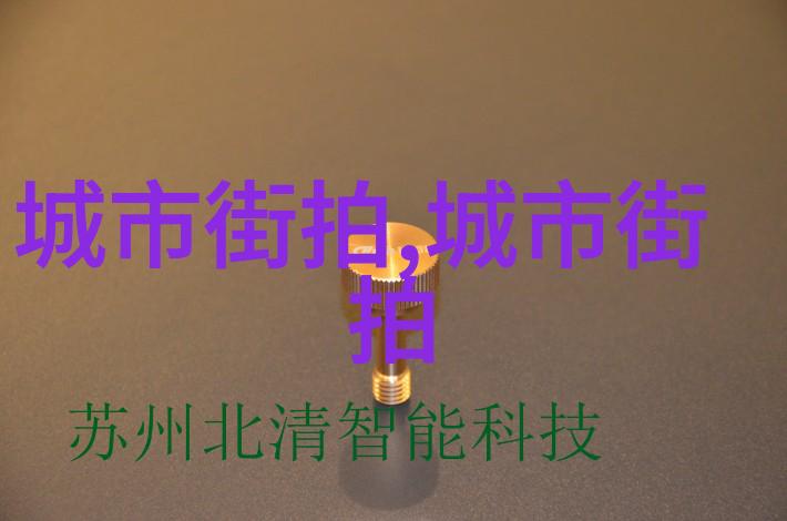 2024年是什么年新希望新征程