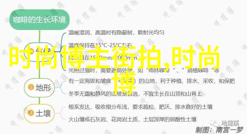 四十岁女人气质发型时尚与优雅的完美结合