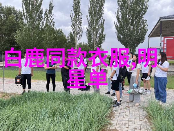 百亿梦想九零一代房地产新贵的崛起