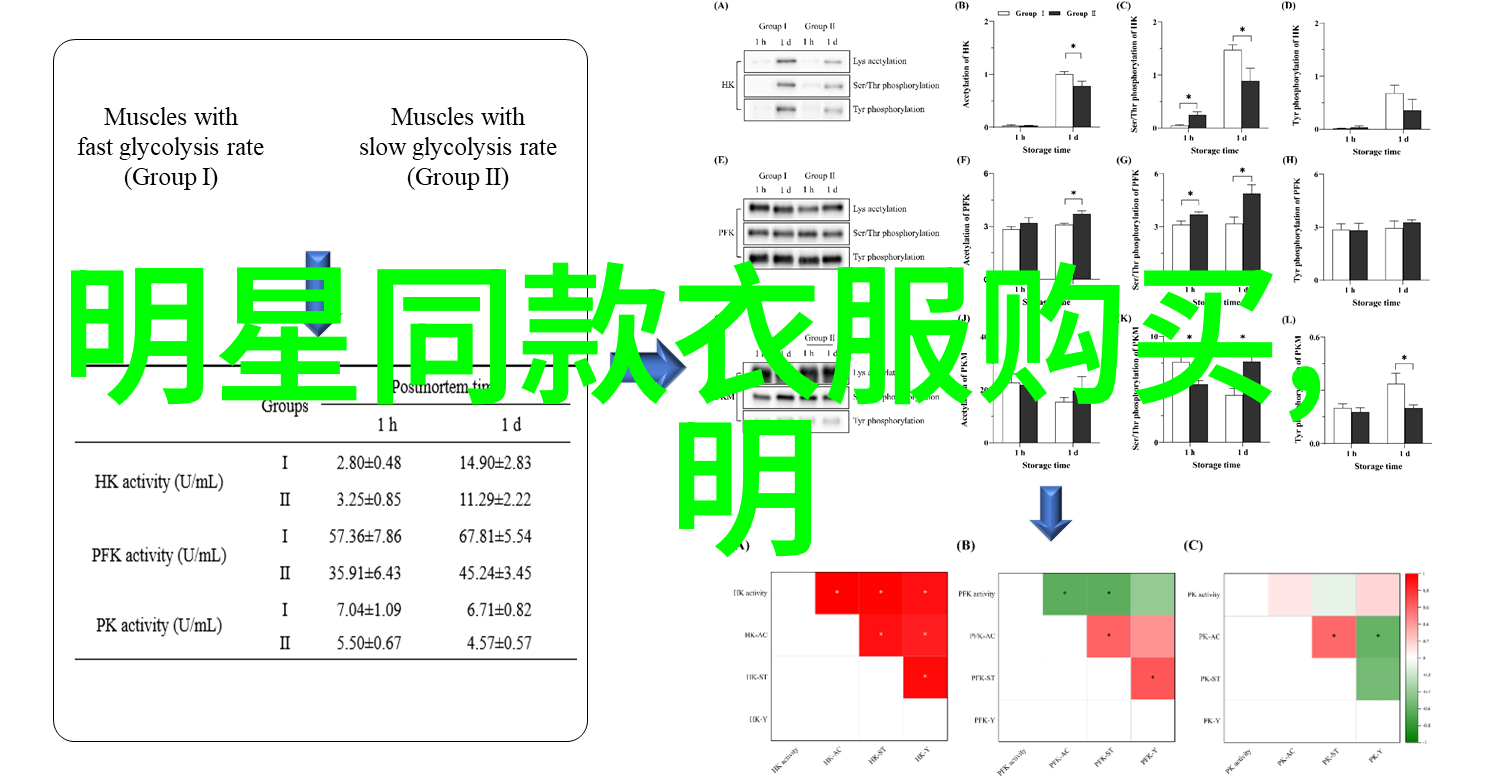 2Pac传奇塔克的音乐与社会影响