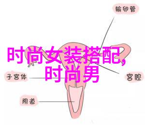 斯得雅服饰设计中蕴含着哪些独特元素