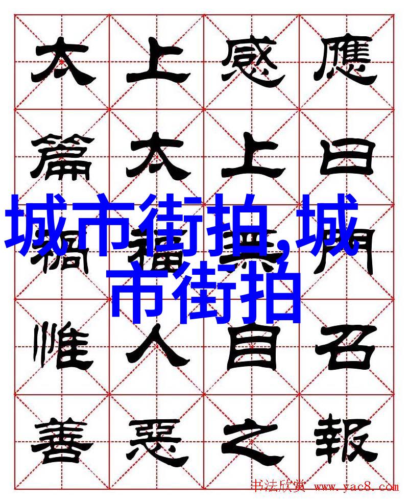 主题-数字的力量探索455背后的故事与意义