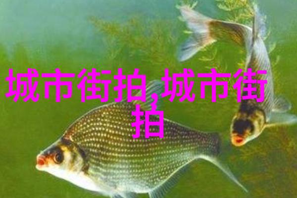 时尚流行短发精致造型的现代魅力