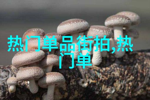 理发艺术与技术教育探究正规理发师培训学校的教学模式与实践创新