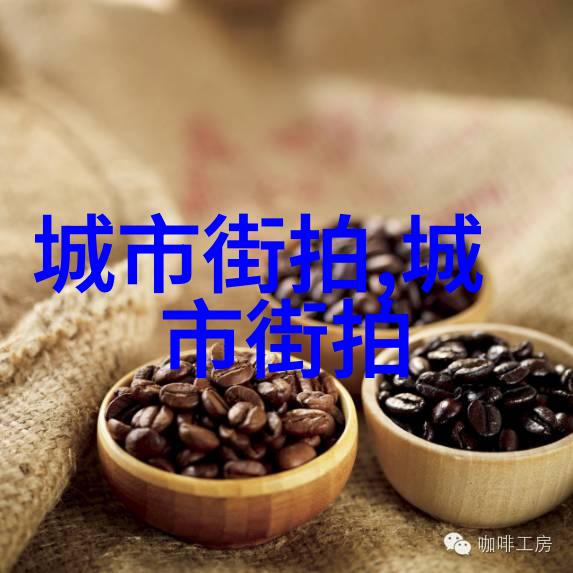 气质穿搭指南如何用一张照片展现你的品味与风范