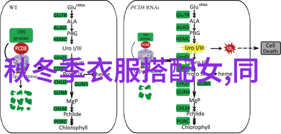 明星节目穿搭张俪露脐上衣炫腹亮点钻照亮肚脐眼