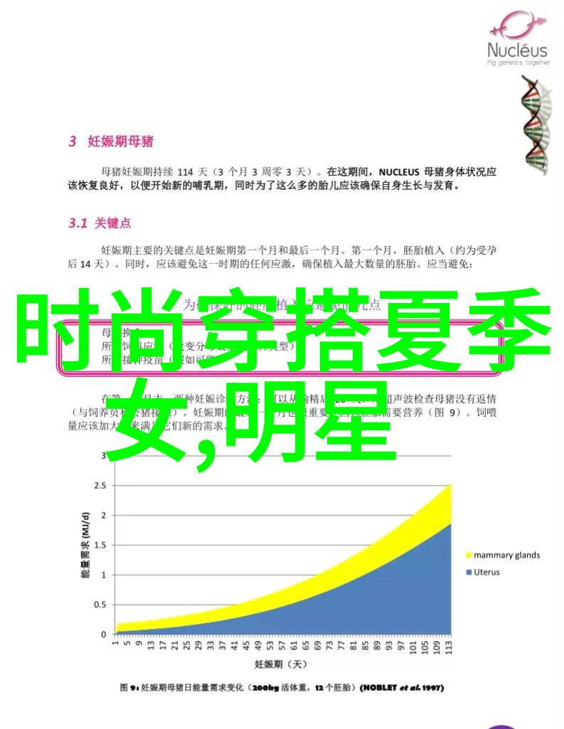 揭秘中长发编发技巧从基础到高级100种创意等你发现