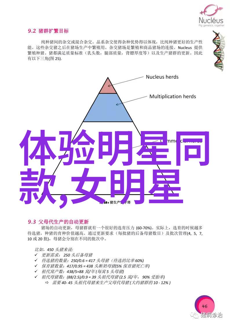 打造时尚新宠揭秘今年流行发型的笑话与魅力