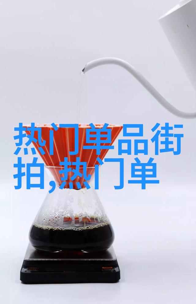 21cn数字时代的桥梁与伙伴