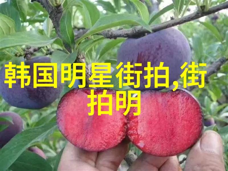 看看适合什么发型app美容时尚生活