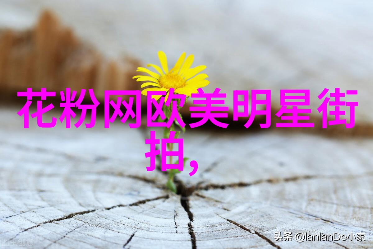 我们应该参考哪些明星或模特儿的短发形象来提升个人吸引力