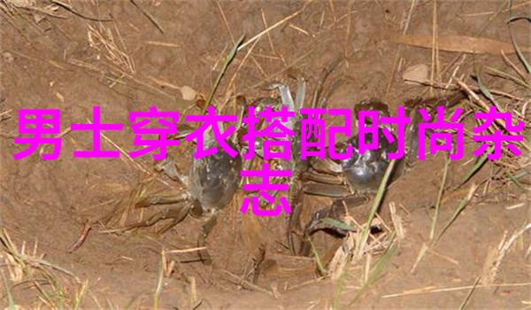 4399枪魂修改器解锁无限可能的虚拟射击世界