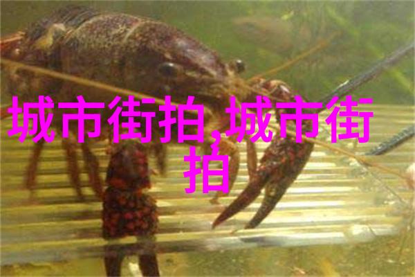 杨幂同款牛仔裤阔腿裤-时尚女星街头风采杨幂同款牛仔裤的魅力解析