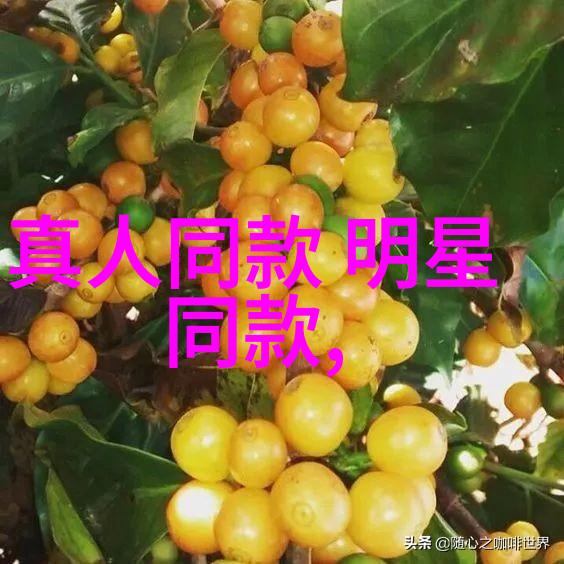 百度云盘登录指南安全快速的云存储账号管理