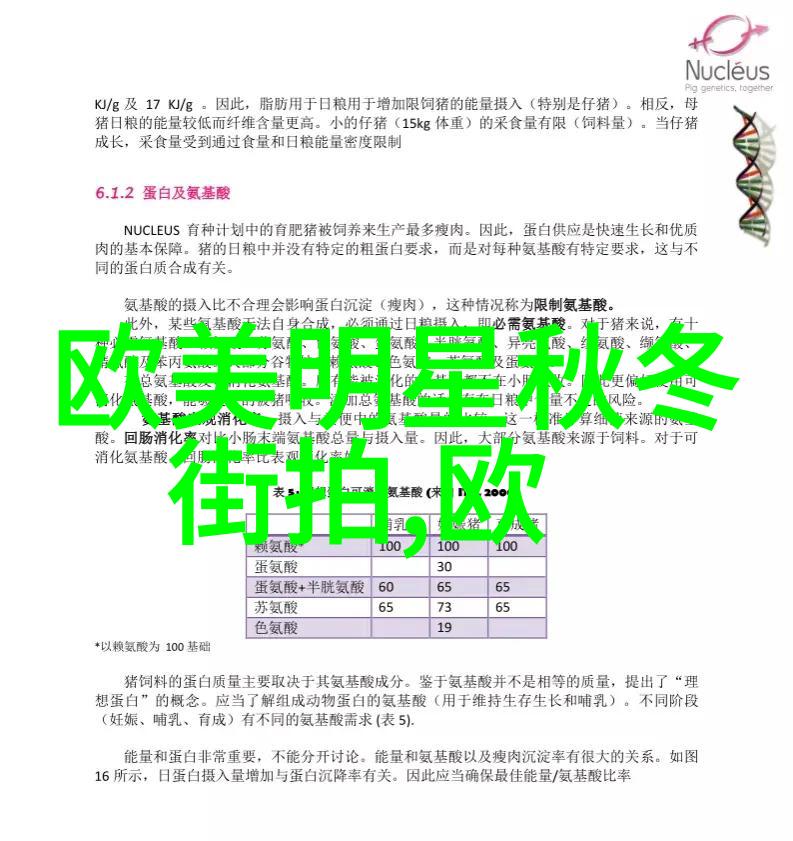 探索完美发型如何选择适合自己的秀发造型