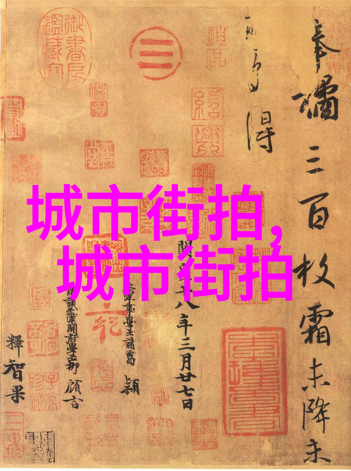 秀发新宠2023年最流行短发女生时尚造型大师展