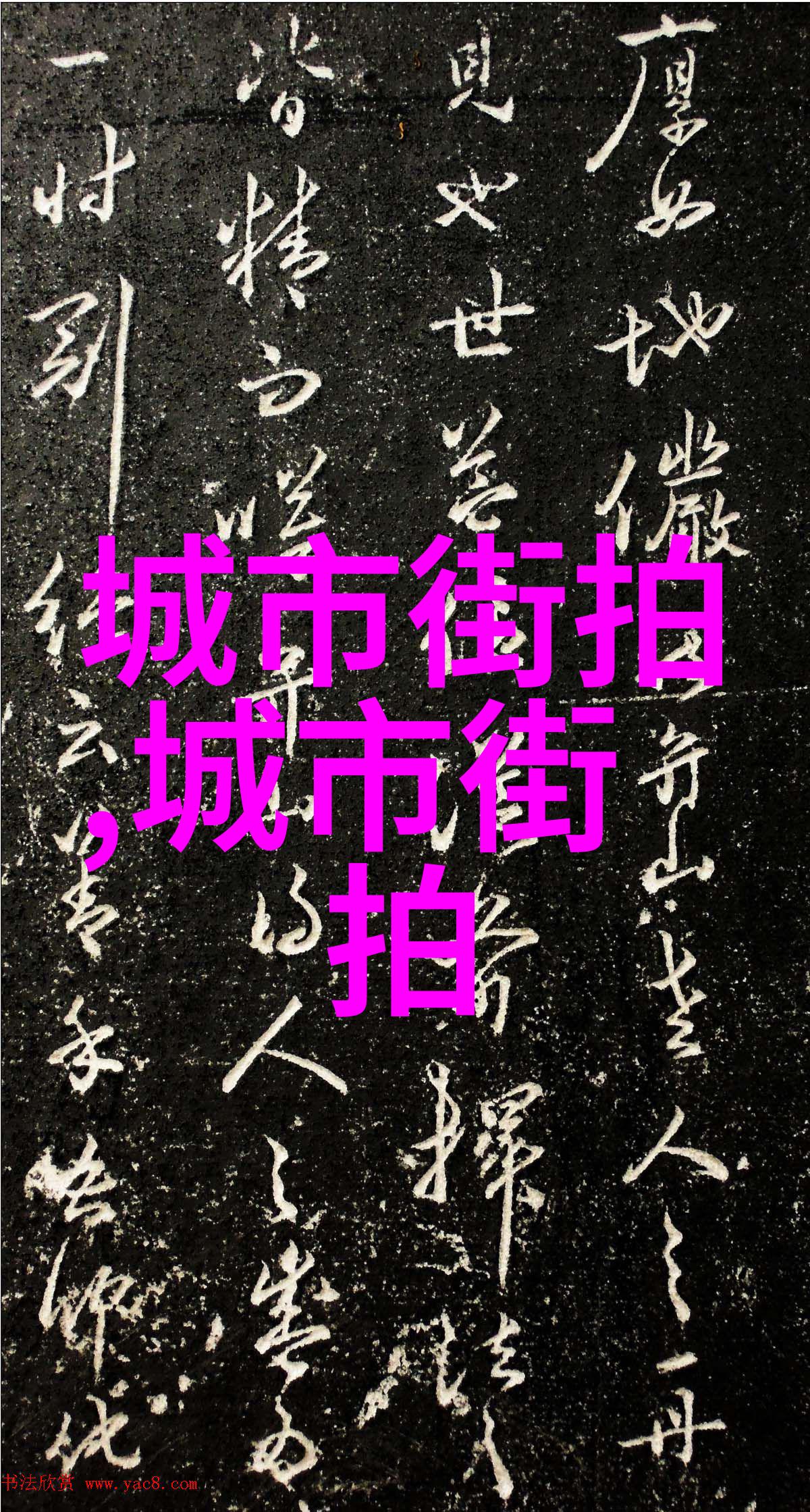 电脑大师揭秘你的数字伙伴