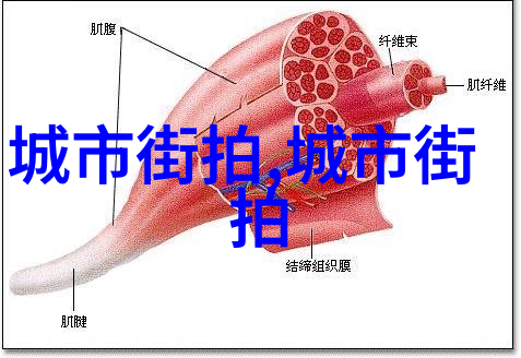 爱马仕官网中国官方网站-探索时尚与品质的生活之选