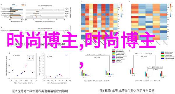 48我和朋友们的48小时冒险记