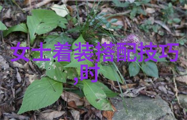 优质RB攻略系统沈芙游戏策略角色培养系统优化