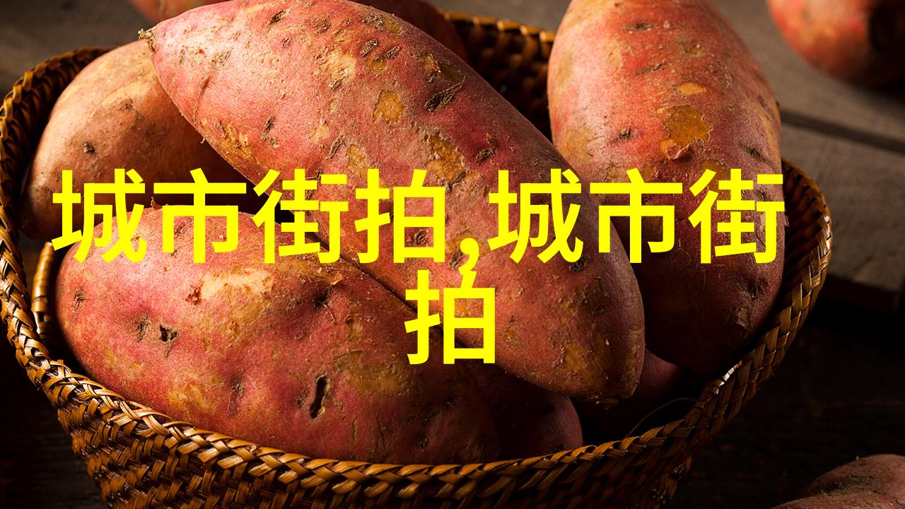 美发学徒的起点掌握基础理发技巧