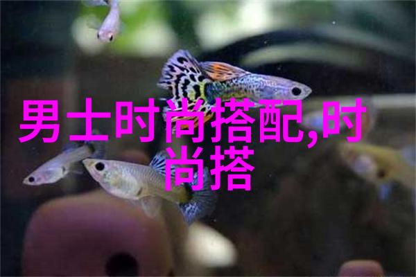 31会议开启新时代中国经济发展的重要里程碑