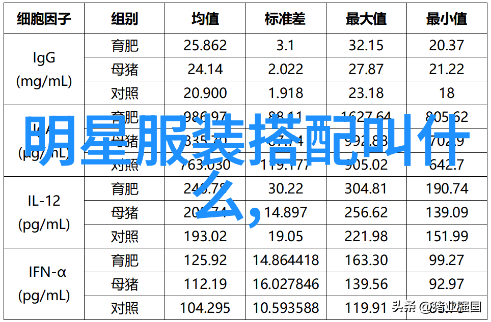 城市街拍都市风韵街头角落中的生活画卷