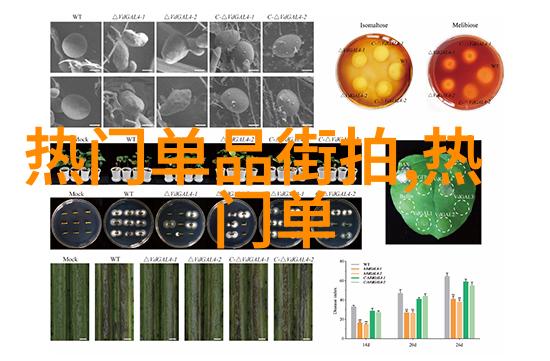 策略大师383方案的智慧与力量