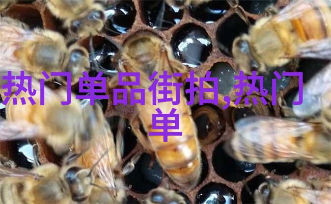 一个月的租金通常是多少如果我有一个小户型房子每月付款为350美元