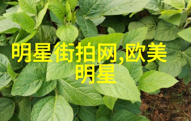 宝宝楼梯间创意视频家居生活中的有趣挑战