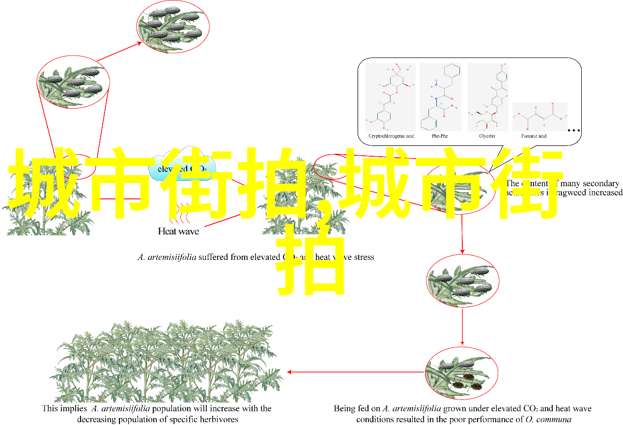 春日愉悦-绕床弄青梅一颗奶糖的温馨回忆