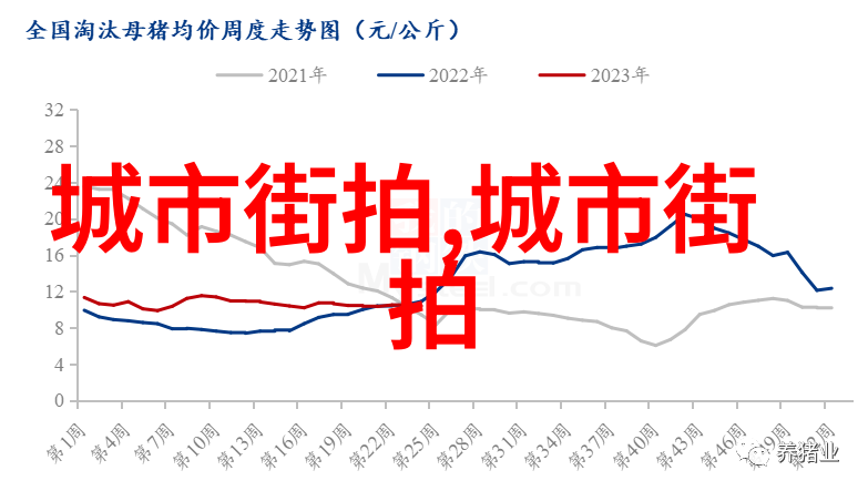 古猿传说森林之主的归来