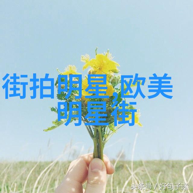 学校教育与实际操作之间的桥梁实习机会对美修生的重要性分析