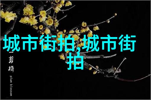 生活点滴我是249的幸运儿从一份小工资到大梦想的征程