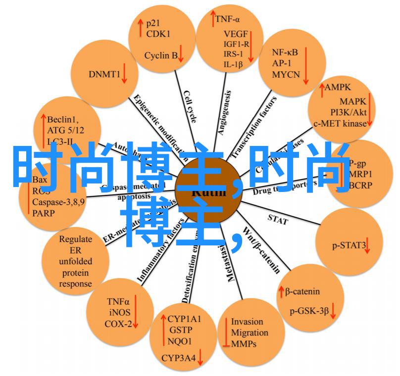 秘密美容室揭秘明星发型的魔法