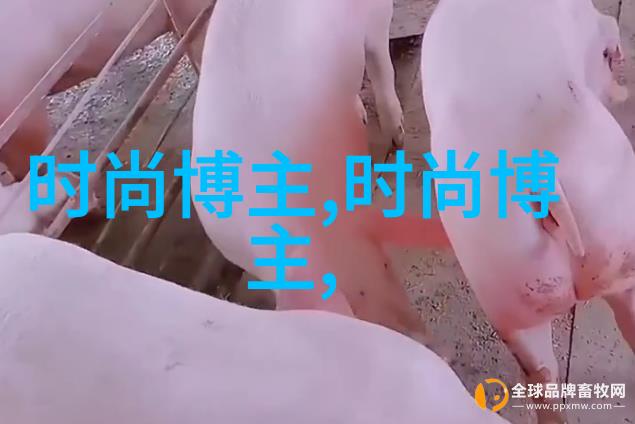 明星穿着搭配女今天我要给大家分享一个超级实用的秘密如何让自己的衣橱里那些平时看起来一般的衣服也能变身