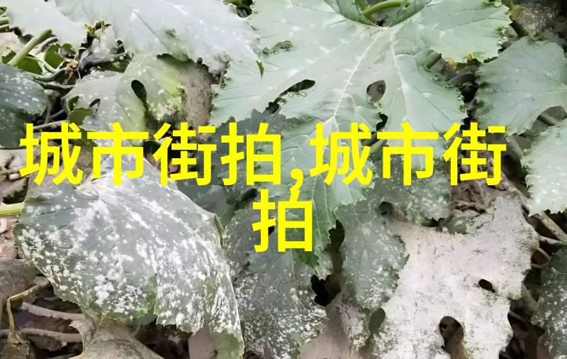 世界各地在6月9号通常会庆祝什么活动